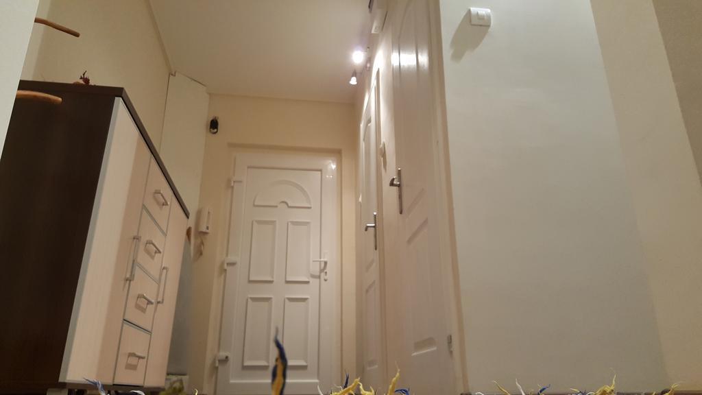 Aquarius Apartman Szeged Kültér fotó