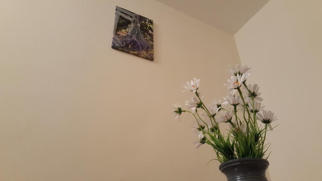 Aquarius Apartman Szeged Kültér fotó